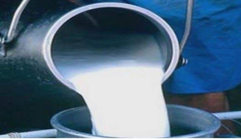 दूधको मूल्य सिजनअनुसार बढाउन सिफारिस
